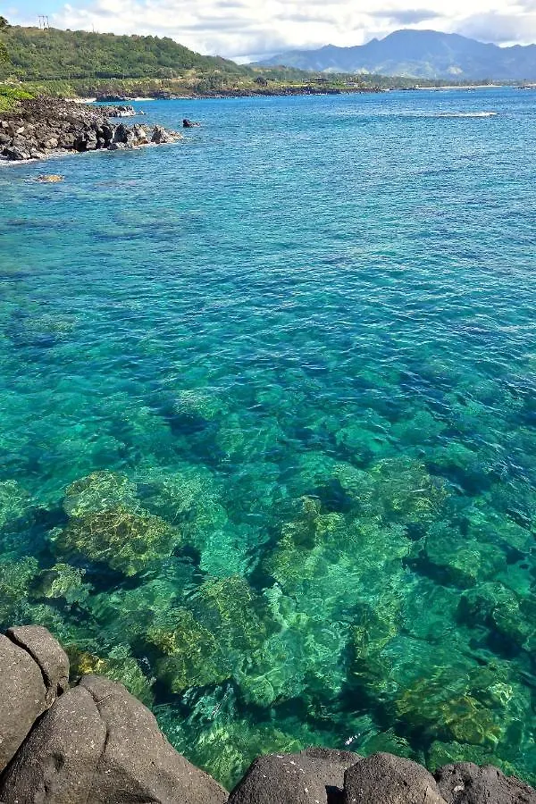 哈莱伊瓦Waimea Bay Garden Bunglaow别墅 度假居 哈莱伊瓦